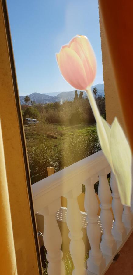 Apartamento Mar Y Sol, เดเนีย ภายนอก รูปภาพ