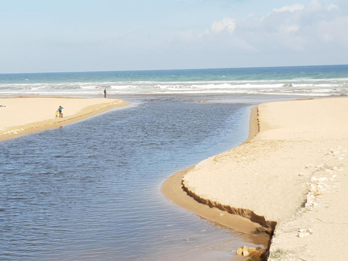 Apartamento Mar Y Sol, เดเนีย ภายนอก รูปภาพ